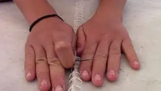 Sail Repair
