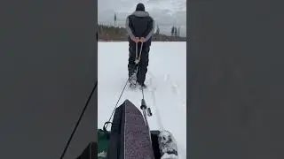 If your gonna do it, do it right #sled #ice #lake #fishing