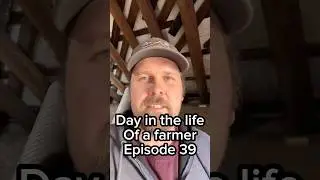 day in the life of a Farmer episode 39 ￼