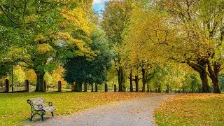 Editing Autumn Photo Using Lightroom