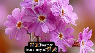 🎉How they truely see you?🎉 #selflove #tarotreading #spiritual #tamil #lovestatus #healing #astrology