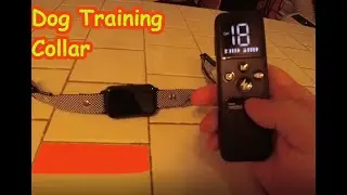 Dog Training Collar.