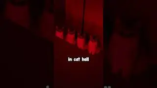 He Turned His Cats Evil 😱😂
