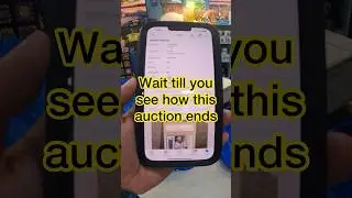 eBay Auctions ends on a high not Ella De La Cruz Auto