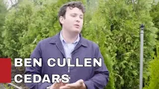 Gardening with CEDARS/ Maggie John  with BEN CULLEN