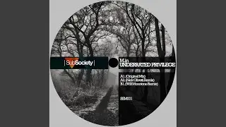 Underrated Privilege (Original Mix)