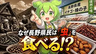 【閲覧注意】なぜ長野県民は「虫」を喜んで食べるのか？スーパーに並ぶ「イナゴ・蜂の子」の裏に隠された、涙と愛の歴史を完全解説【ずんだもん・ゆっくり解説】