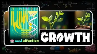 plant growth and development | NCERT | audiobook @medaffection #biology #ncert #ncertbiology #neet