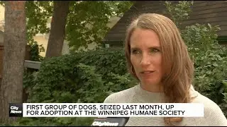 Puppy Mill Cruelty Rampant as Manitoba Fails to Enforce Breeder Laws