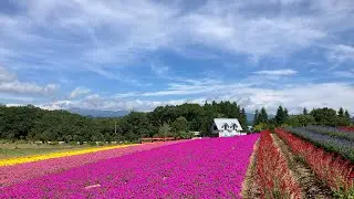 2025.9.9牧歌の里の天気【晴れ】牧歌的な秋のおさんぽ