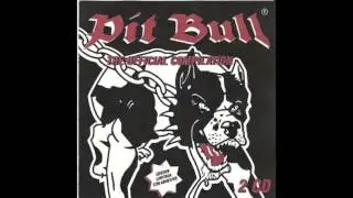 Pit Bull - The Official Compilation (Mixed by DJ Ketchup)