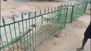 Darga front 