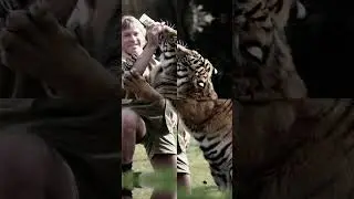 Steve Irwin&rsquo;s Fearless Life: Why He Never Took Time for Granted #celebritynews #behindthescenes