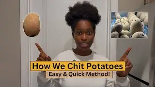 How We Chit Potatoes: Easy & Quick Method! (For Potato-Lovers...hehe)!