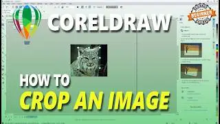 Coreldraw How To Crop An Image
