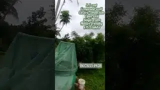 5.5 cent residential land with compound wall electric connection,single room  farm view land