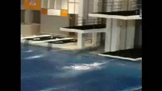 2008 Olympic Diving Selection Camp