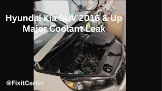 2019 Kia Sorento Major Coolant Leak Explained! Hyundai Kia