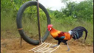 Best Unique Wild Chicken Trap Using Wood And Tire Motorcycle / Fantastic Wild chicken Trap