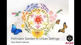 IPM Meeting: Pollinator gardens in urban settings: IPM approach and ecosystem function, 5/2/24