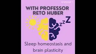 S2E7 - Reto Huber - Local Sleep, Sleep Homeostasis, & Brain Plasticity
