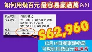 12月14日第3,9場值得留意的馬匹