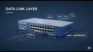 OSI Model Layer 2: The Data Link Layer & MAC Addresses Explained