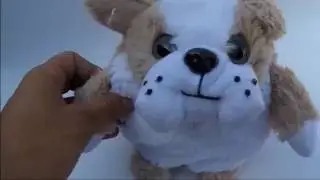 LETS SEE POP OUT PETS DOGGIES - BULLDOG AND MORE - PLAY WITH ME - INTERESTING TOYS - PLUSH PETS