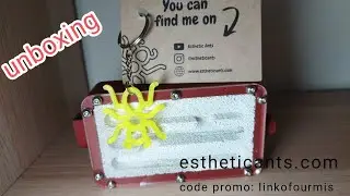 unboxing nid pour fourmis estheticants fourmilière ytong