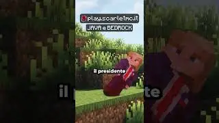 SONO STATO D3P0RTAT0 negli STATI UNITI su MINECRAFT? 🇺🇸😂