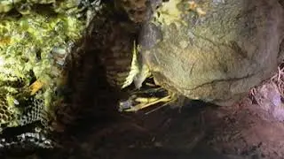 Bouldering with Killer Bees Pt 1 [360&deg; 4K HD]
