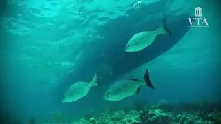 Voyages to Antiquity: Islands of the Indian Ocean & South Africa