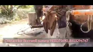 Bore से निकला ताबड़तोड़ पानी Harda (MP) Borewell survey by Nitesh Khare