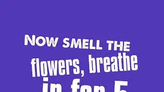 Positivity Flow | Lavender Blues