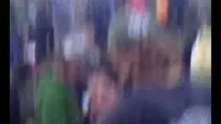 video z křov&iacute; 2