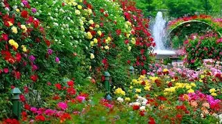 MUST WATCH!!!!!!!! The Top 30 Beautiful Gardens With beautiful Flowers