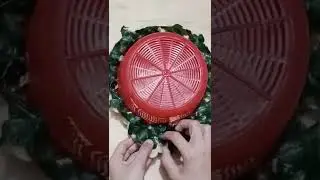 broken basket decoration idea 😍😍#diy#shorts#craft#plastic