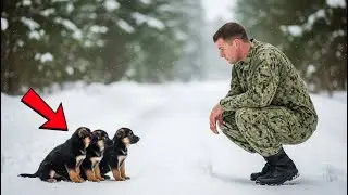 Navy SEAL Rescue Dog Story &ndash; Three Lost Puppies Led Him Into a Winter Nightmare