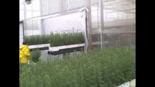 The Winter Lift&mdash;Arbutus Grove Nursery