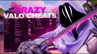 This is the Valorant Cheat That Everyone Uses... (Valorant Cheats)