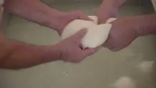 Consorzio Mozzarella di Bufala - Mozzarelle