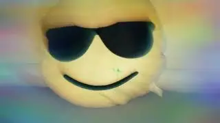 Dummes Video