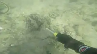 Shallow Water Detecting Adventures - Sept 2015 - Gold Ring