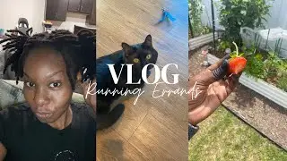 I’m Back! 1 Year Later: Life Update and Running Errands. 