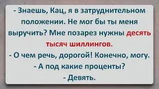✡️ Десять Тысяч! Еврейские Анекдоты! Анекдоты Про Евреев! Выпуск #460