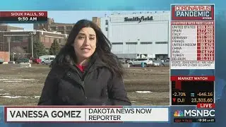 Vanessa Gomez News Reel 2021