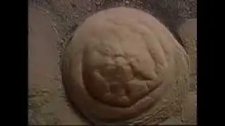 Киматика, сложение частот. Комментирует Ганс Дженни - (Cymatics)