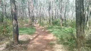 Tohkuning karanganyar mtb Thrill agent 4x