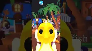 SEAHORSE PET & OCEAN EGG COUNTDOWN REVEALED Adopt Me Roblox