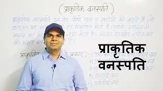प्राकृतिक वनस्पति |  Prakritik Vanaspati | Indian Geography | भारत का भूगोल | Avinash Mishra |